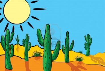 Aventura in desert- joc recapitulativ