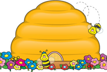 Stupul - fişă de prezenţă