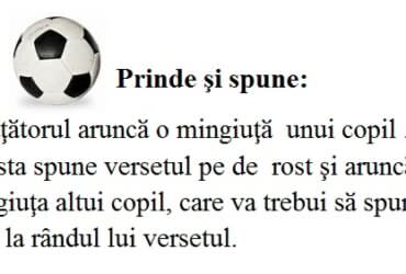 Joc de repetare a versetului - 15