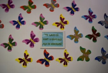 idee prezenta fluturasi