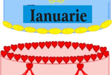 Torturi pentru ziua de nastere :-)