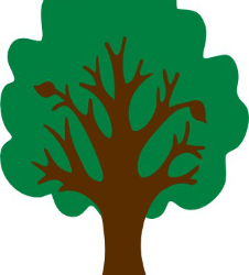 Copacul calitatilor (sau al defectelor? )