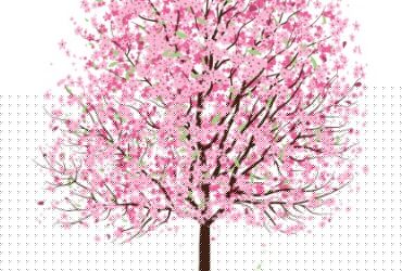 Cireşul -(lecţie de viaţă)