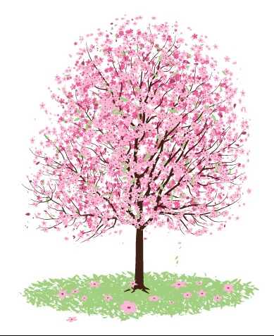 cherry-blossom-tree-clip-art-food-and-drink-pictures-V7Owyk-clipart