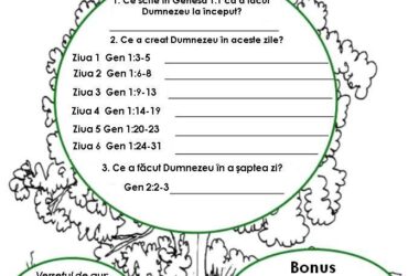 Creatia - fisa de lucru