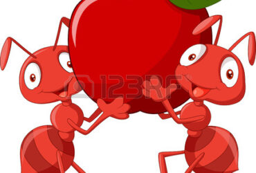 Ce avem de învăţat de la furnică ? - lectie