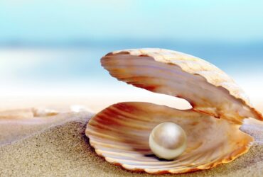 Perla de mare pret - povestire