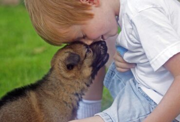 Prietenul adevarat - povestire