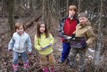 Joc ,,Vantoarea de comori'' (1)