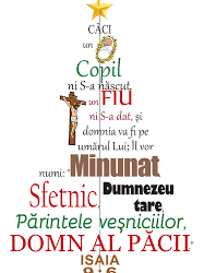 POEM NAȘTEREA DOMNULUI NR.15