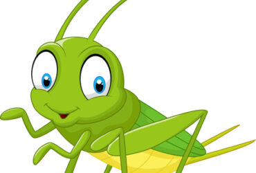 Ce avem de învăţat de la lăcustă -lecţie tematică