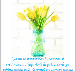 Proverbe 3:3,4 - verset semn de carte