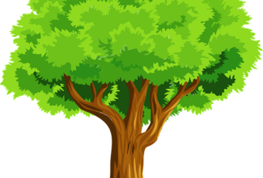 Sfaturi de la un copac