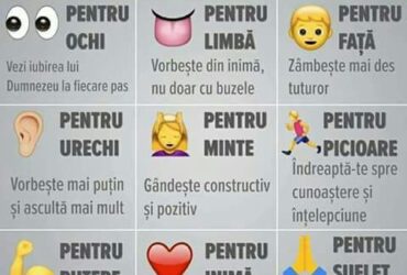 9 exercitii zilnice :-)