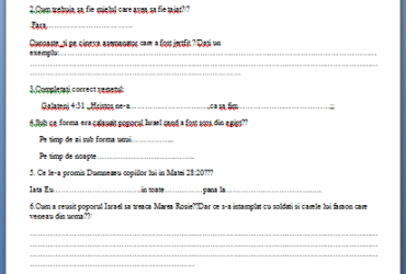 Moise- fisa de lucru