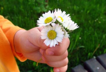 Scumpe surioare -Poezie