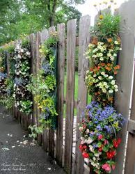 Fiecare dă ce are - Lectie de viaţă