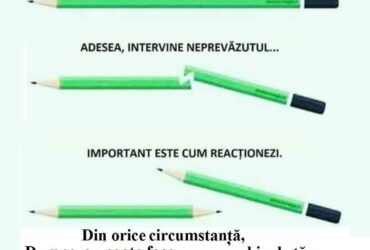 O lectie de la ...creion