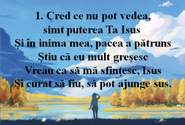 Cred ce nu pot vedea