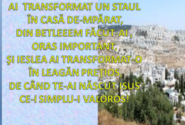 Ai transformat un staul