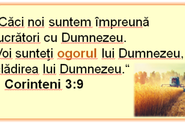 1 Corinteni 3:9/ planșa verset A3