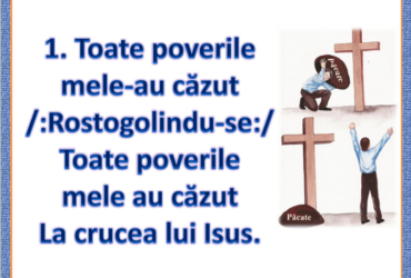 Toate poverile mele-au cazut