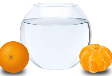 Protecția lui Dumnezeu - lecție obiect