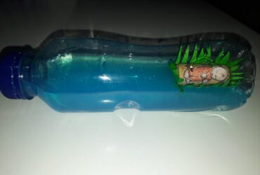 Moise pe apă/ sticla senzorială- lucru manual preșcolari