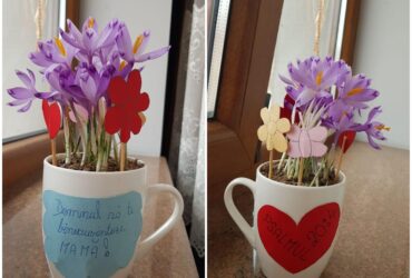 La cules de brândușe pentru mama :-)