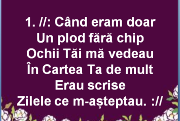 Când eram doar un plod - Tu-mi ştii viitorul