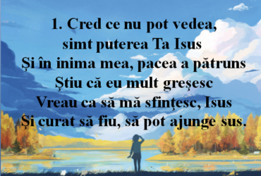 Cred ce nu pot vedea