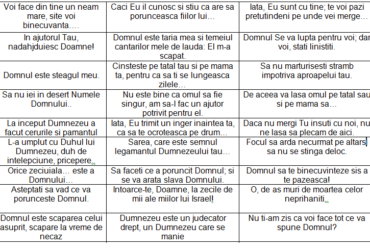 Joc - Caută referinţa biblică ( pt tineri şi adolescenţi)