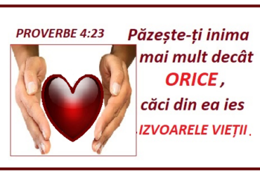 Proverbe 11.23