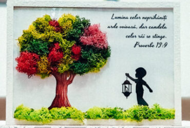 Tablou cu licheni-atelier de creație